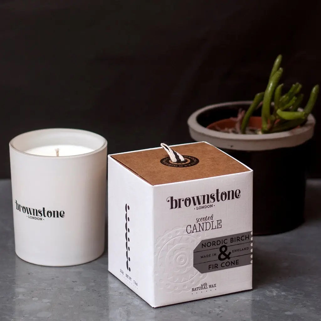 Sale: Nordic Birch & Fir Cone Candle - discontinued glass & box